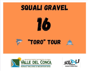 Squali Gravel TORO